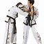 Image result for Cairns Korean Martial Art