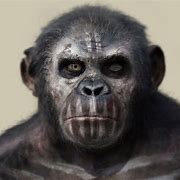 Image result for ape