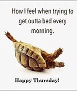 Image result for Thursday Funny Memes Appropriate