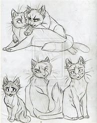 Image result for Warrior Cats Drawing Sketch