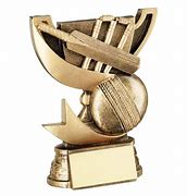 Image result for Large Cricket Trophy Cups
