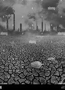 Image result for Environment Black and White