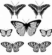 Image result for Cartoon Butterfly Clip Art Black and White