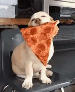 Image result for Funny Pizza