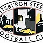 Image result for Steelers Logo Shape