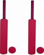 Image result for High Density Foam Cricket Bat and Ball