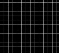Image result for Black and White Grid Lines
