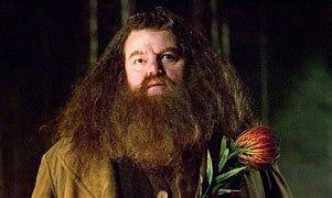 Image result for Harry Potter Beard