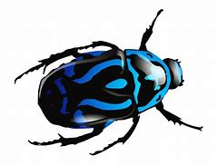 Image result for Beetle Clip Art Free