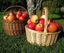 Image result for Apple Fruit in Basket Wallpaper