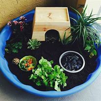 Image result for Pet Turtle Habitat