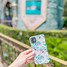 Image result for Disneyland AP Phone Case