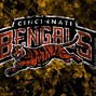 Image result for Cincinnati Bengals Wallpaper Desktop