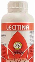 Image result for lrcitina