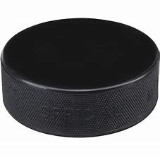 Image result for Ice Hockey Puck Team