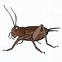 Image result for Cricket ClipArt