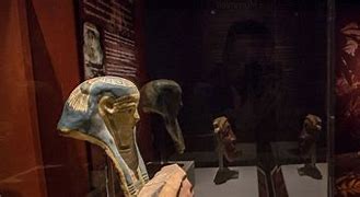 Image result for Mummies of the World Exhibition