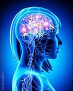 Image result for Brain and Memory Gify