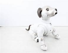 Image result for Sony Aibo ERS 11.0