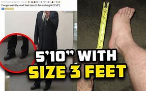 Image result for 3 Foot Tall