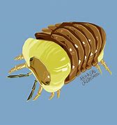 Image result for Isopod Meme