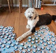 Image result for Buttons Dog Plush