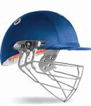 Image result for Cricket Helmet