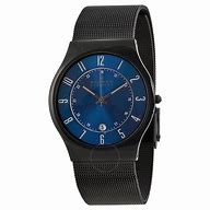 Image result for Skagen Watches Men