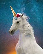 Image result for Funny Unicorn