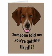 Image result for The Dog Is Well Done Meme