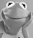 Image result for Kermit Healthy Memes