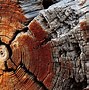 Image result for Japanese Wood Texture