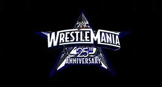 Image result for Wrestlemania 25