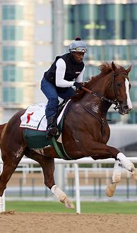 Image result for Horse Racing Wallpaper iPhone