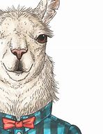 Image result for Hipster Lama