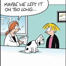 Image result for Funny Adult Dog Cartoon Jokes