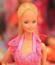 Image result for Mattel Barbie Fashionista