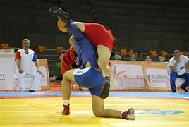 Image result for Sambo GI