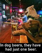 Image result for Dog Beer Meme
