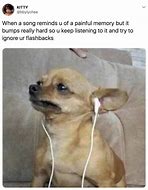 Image result for Mean Chihuahua Meme