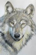 Image result for Wolf Drawing Hard