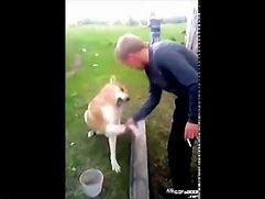 Image result for Dog Handshake Meme