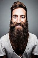 Image result for Big Beard Hipster