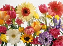 Image result for Summer Flowers Desktop