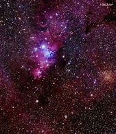 Image result for The Cone Nebula