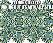 Image result for Illusion 100 Meme