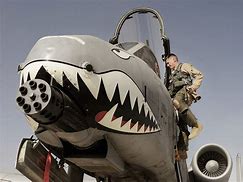 Image result for Fighter Plane Shark Teeth