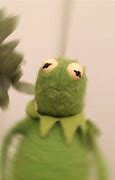 Image result for Kermit the Frog Cocaine