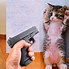 Image result for Funny Dogs with Guns