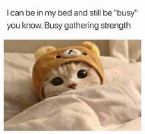 Image result for Busy Season Cat Meme